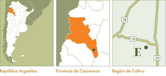 catamarca